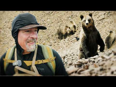 I Found 40 Grizzly Bears in 24 Hours! — official film thumbnail