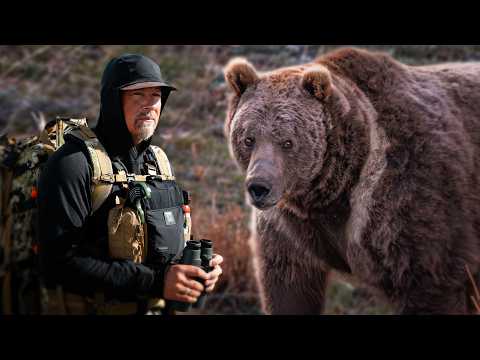 Tracking one of the Rarest Bears on Earth — official film thumbnail